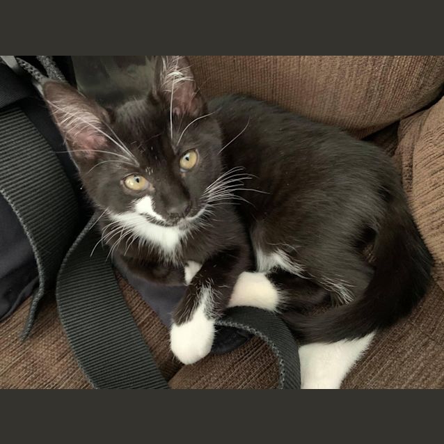Photo of Macady