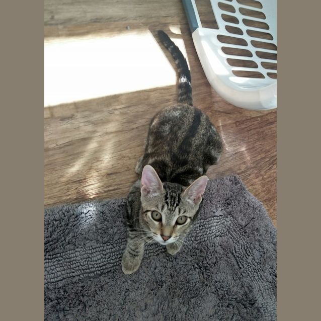 Photo of Clyde