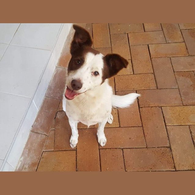 Photo of Tilly