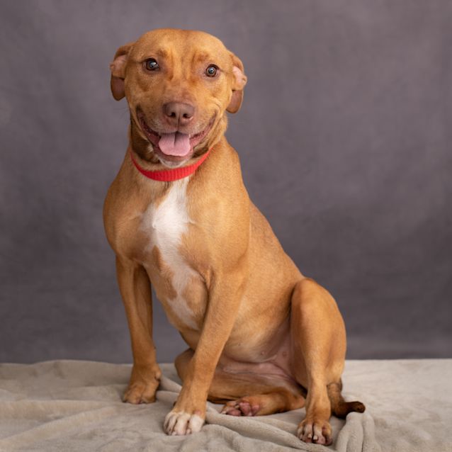 Photo of Miss Moo