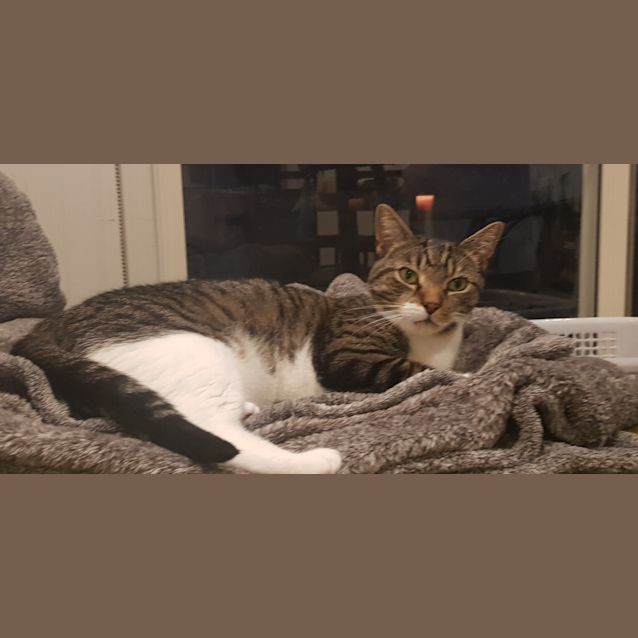 Photo of Marley   Located In Brunswick