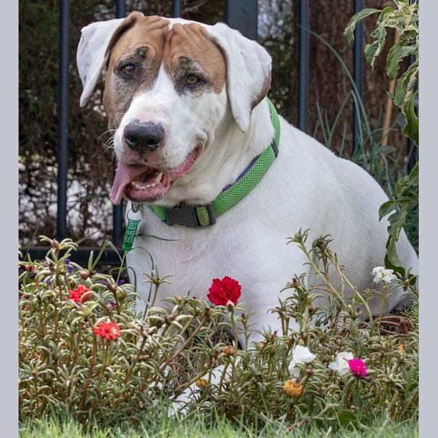 Photo of Bella