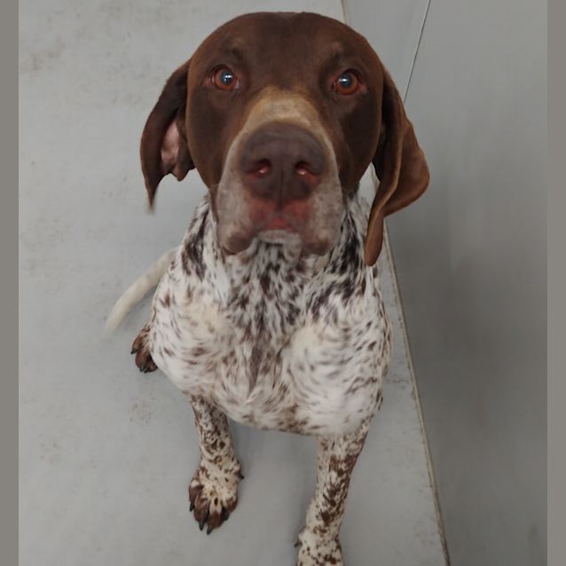 Photo of Barney 