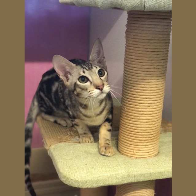 Photo of Fergus