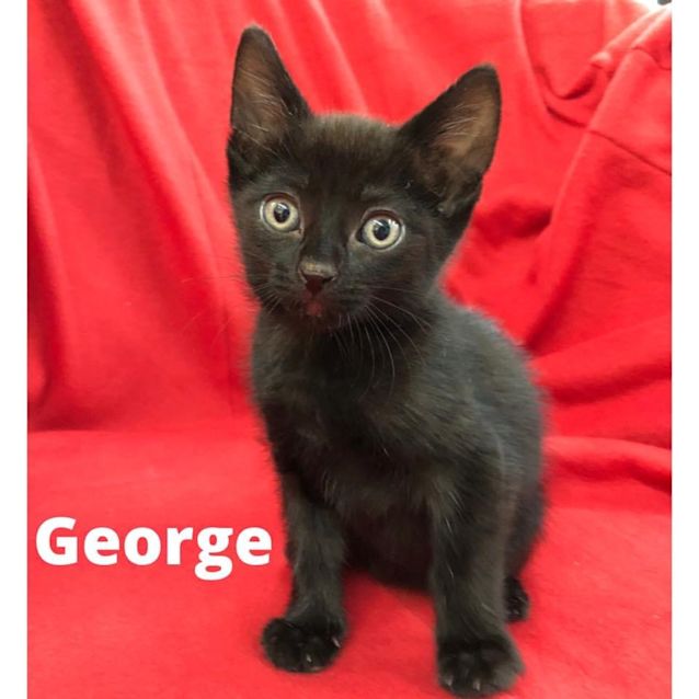Photo of George 