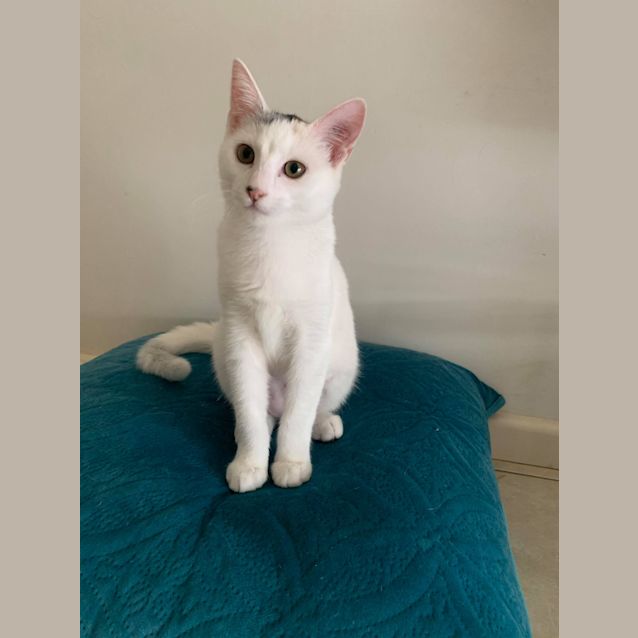 Photo of Marge