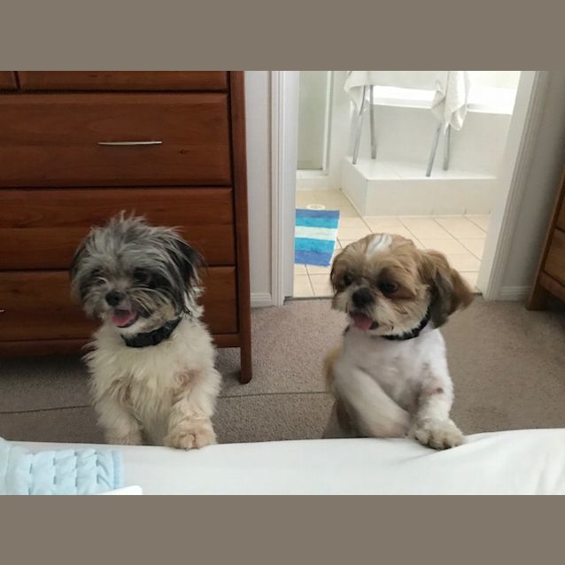 Photo of Milly And Molly