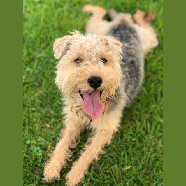 Photo of Maisy