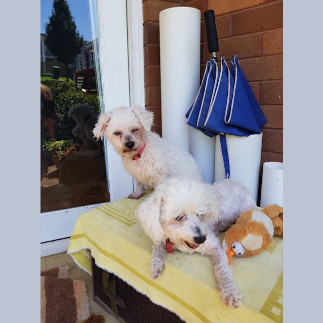 Photo of Miss Paris  And Miss Evie 