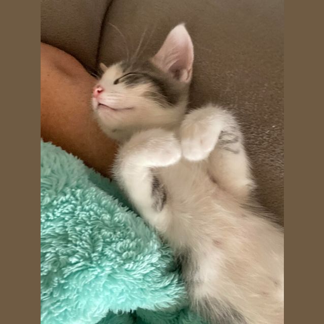 Photo of Duke And Echo