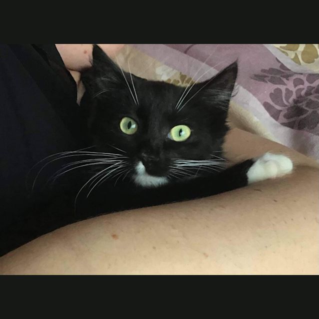 Photo of Eddie   Located In Templestowe
