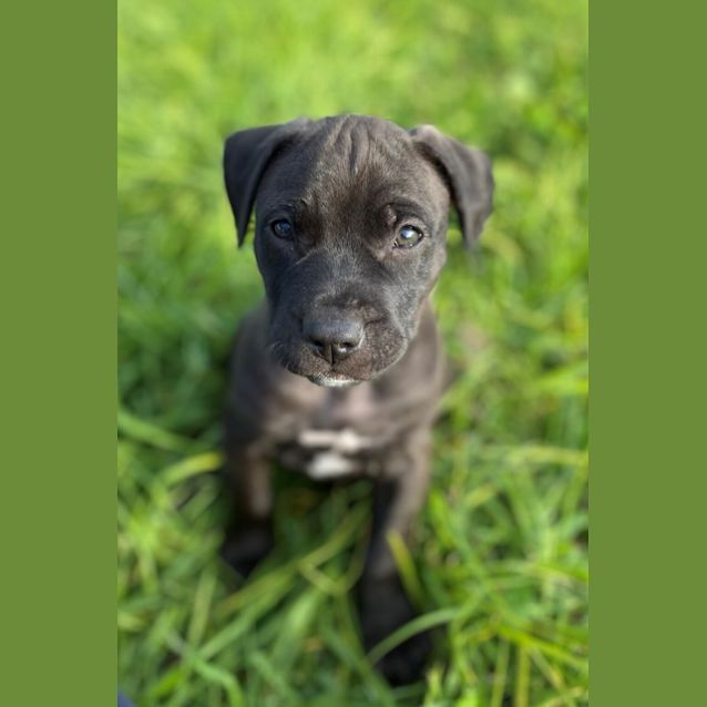 Photo of Waldo