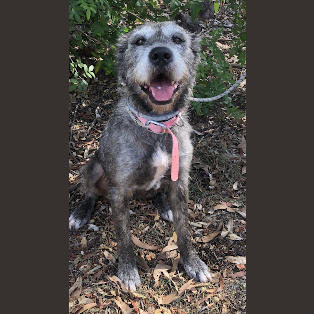 Photo of Zoe