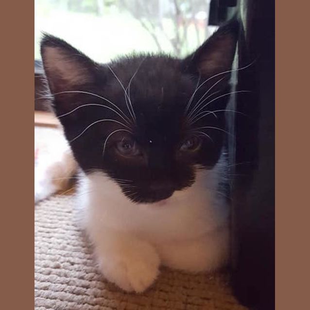 Photo of Bean