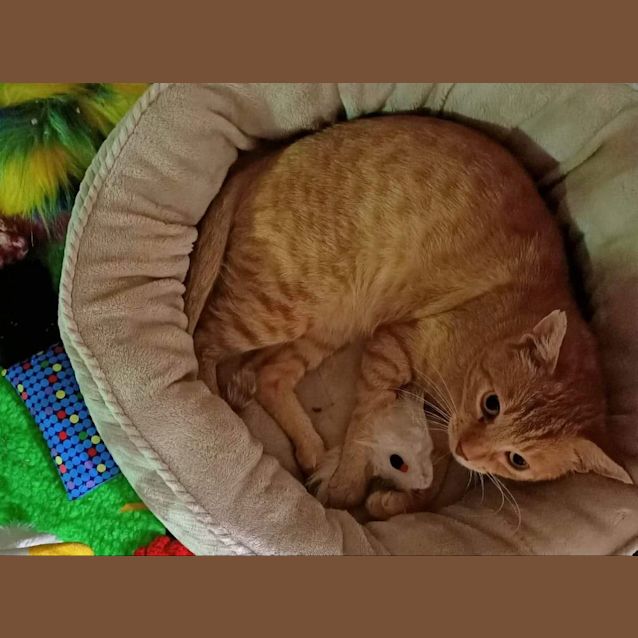 Photo of Mitty