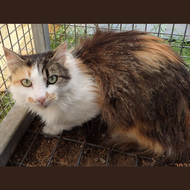 Photo of Thelma And Louise