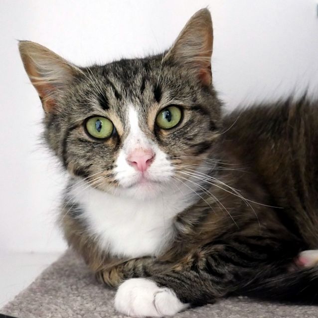 Photo of Eliza Sta006026