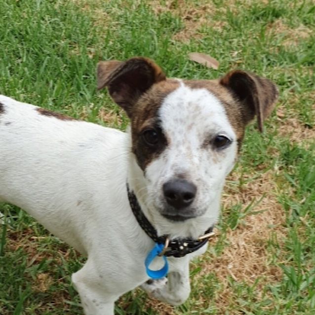 Photo of Asha