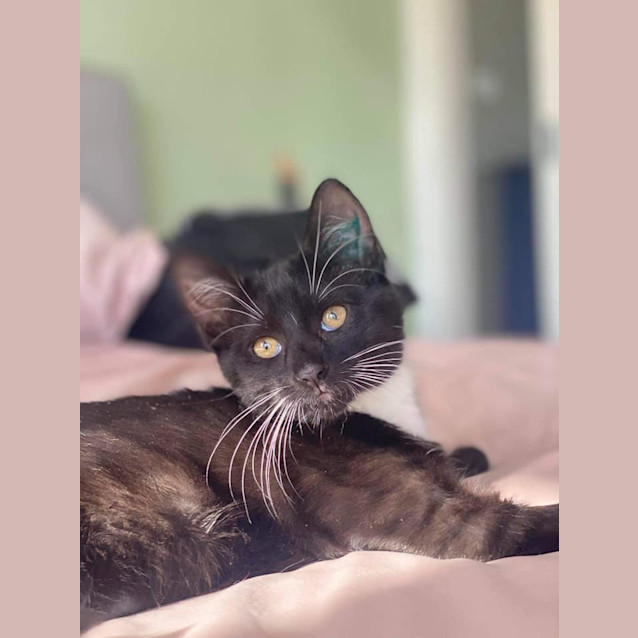 Photo of Mabel