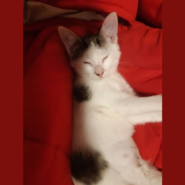 Photo of Jill