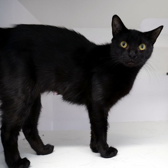 Photo of Tyra Sta005745