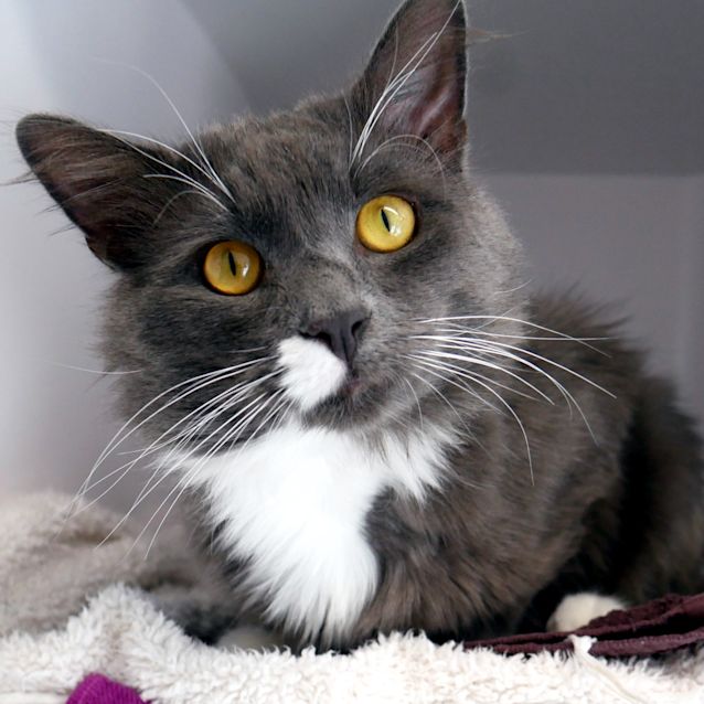 Photo of Bradley Sua006116