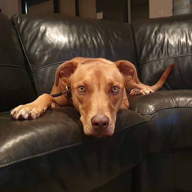 Photo of Coco Dl2533