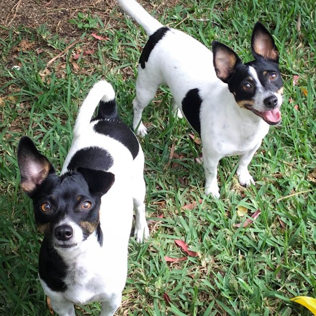 Photo of Bonnie And Cooper