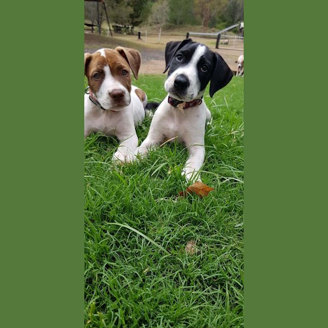 Photo of Lota