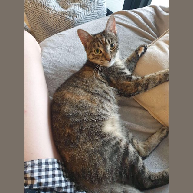 Photo of Lillith ❤