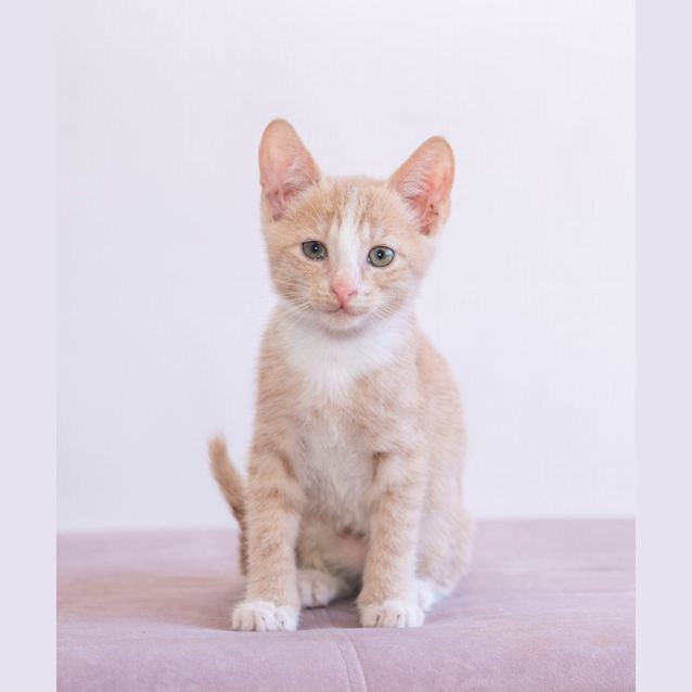 Photo of Vanja Ginger