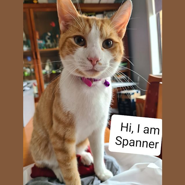 Photo of Spanner