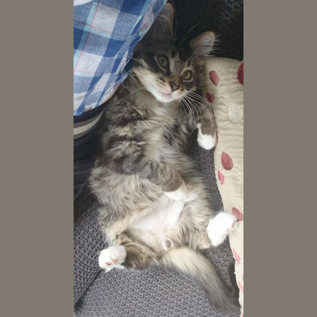 Photo of Jonesy   Located In Brunswick East