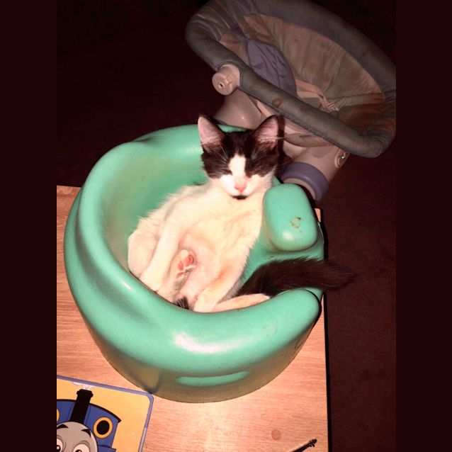 Photo of Rev