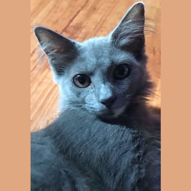 Photo of Crystal