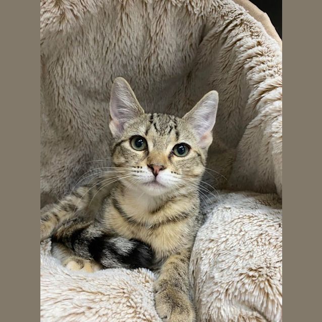 Photo of Mia
