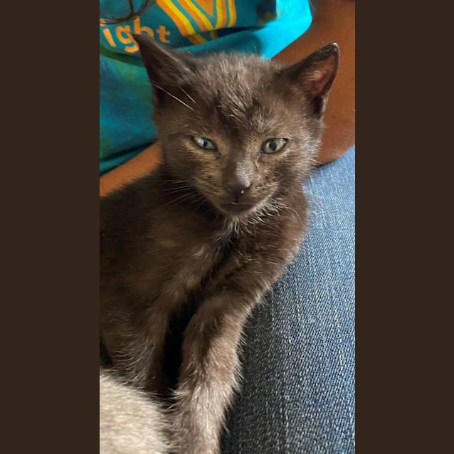 Photo of Quipolly