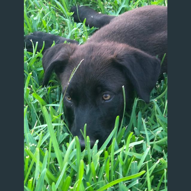Photo of Hugo 