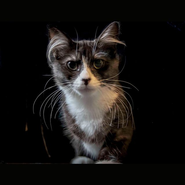Photo of Pid ❤