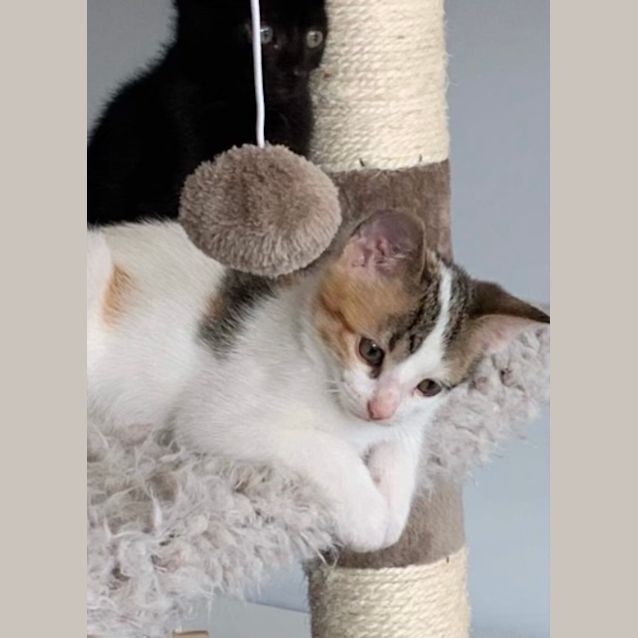 Photo of Sophie