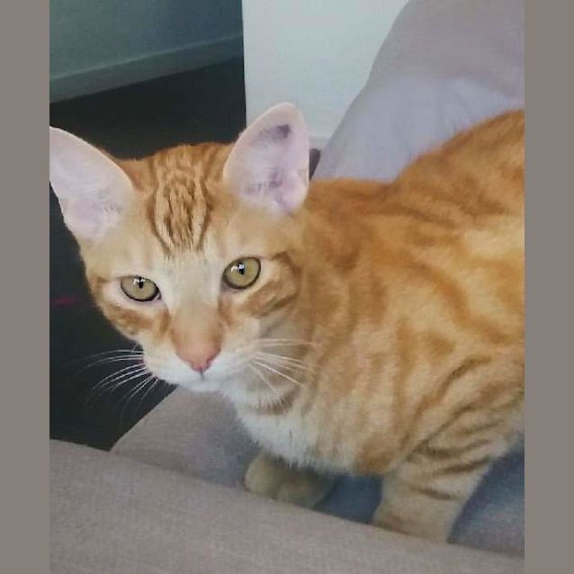 Photo of Davie 🧡