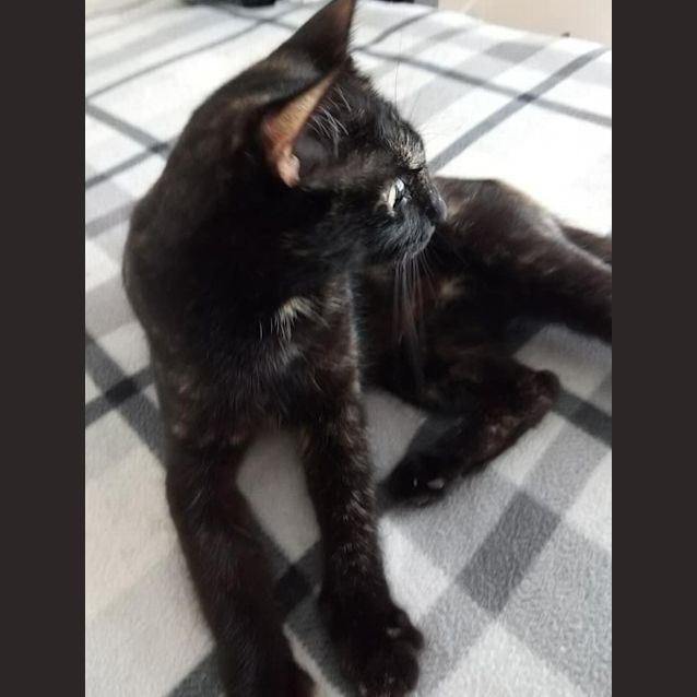 Photo of Briana 