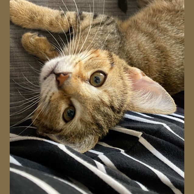 Photo of Margo