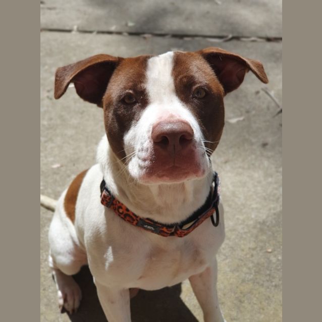 Photo of Chloe