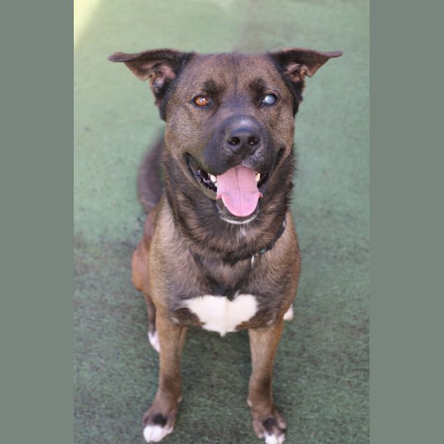 Photo of Duke