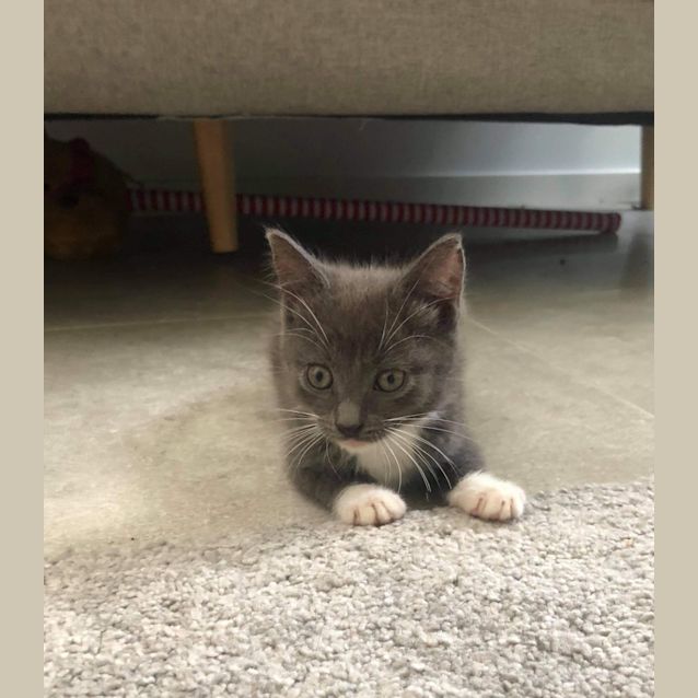 Photo of Daphne 💫