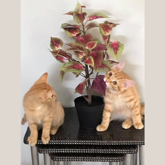 Photo of Sunset And Sunrise