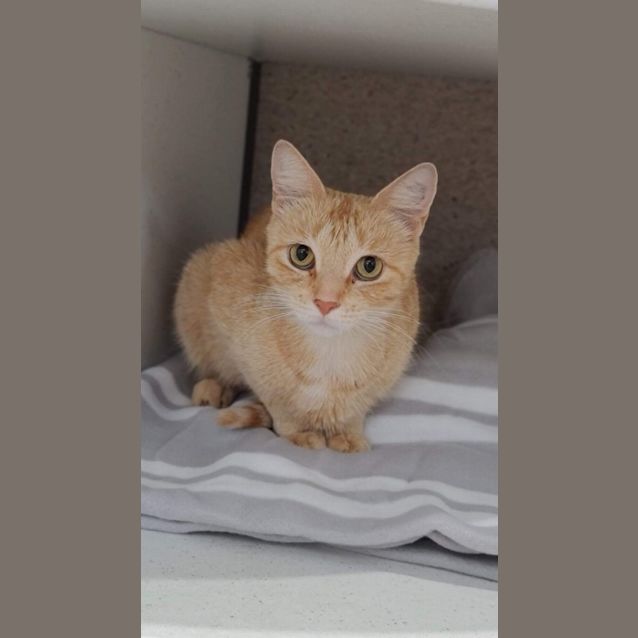 Photo of Dutchess