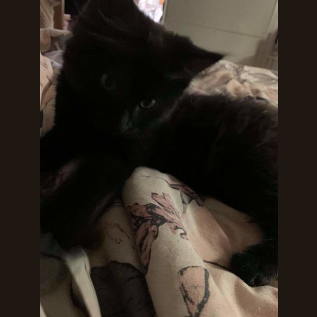 Photo of Puck