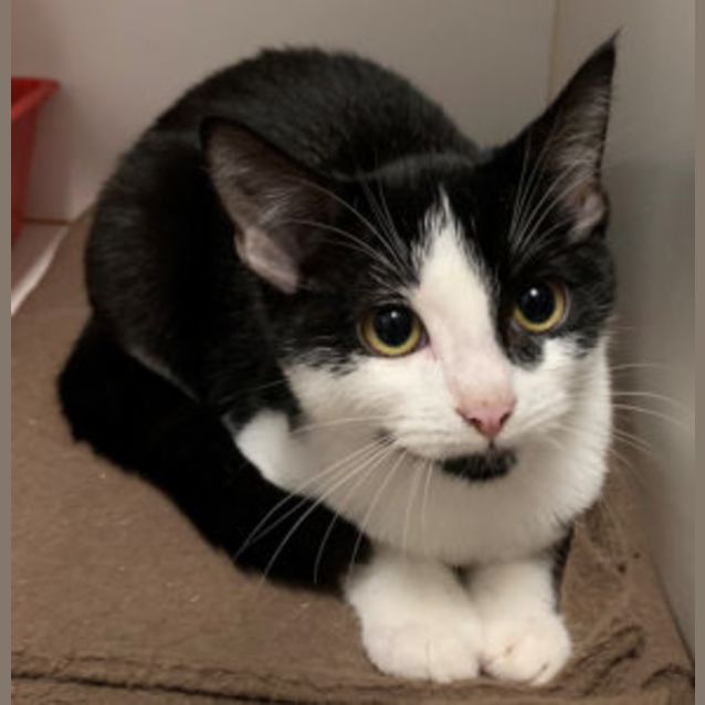 Photo of Harley & Harry